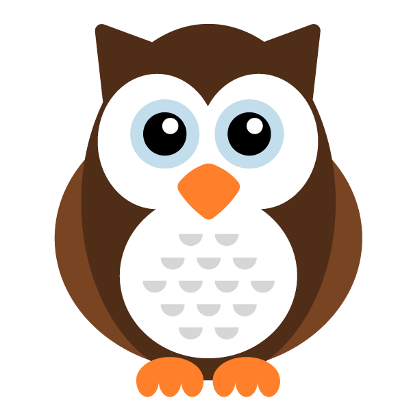 Image of Nightwatch Owl