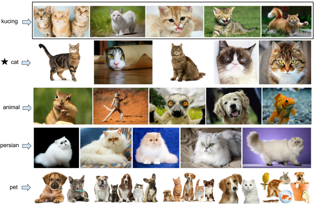 An image from the massively multilingual images dataset