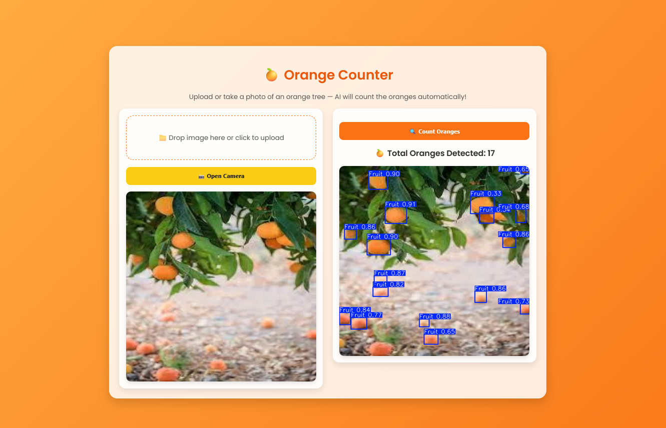 Orange Counter