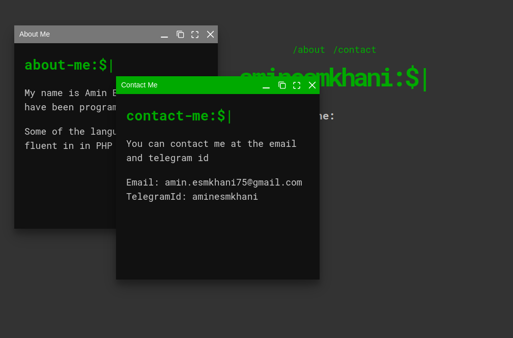 Terminal Website - Contact Me