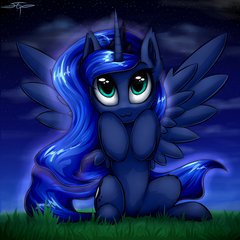 pony image