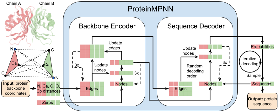 ProteinMPNN