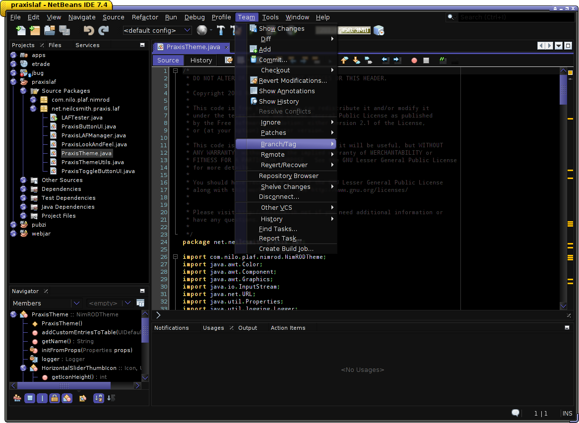 Praxis running on netbeans