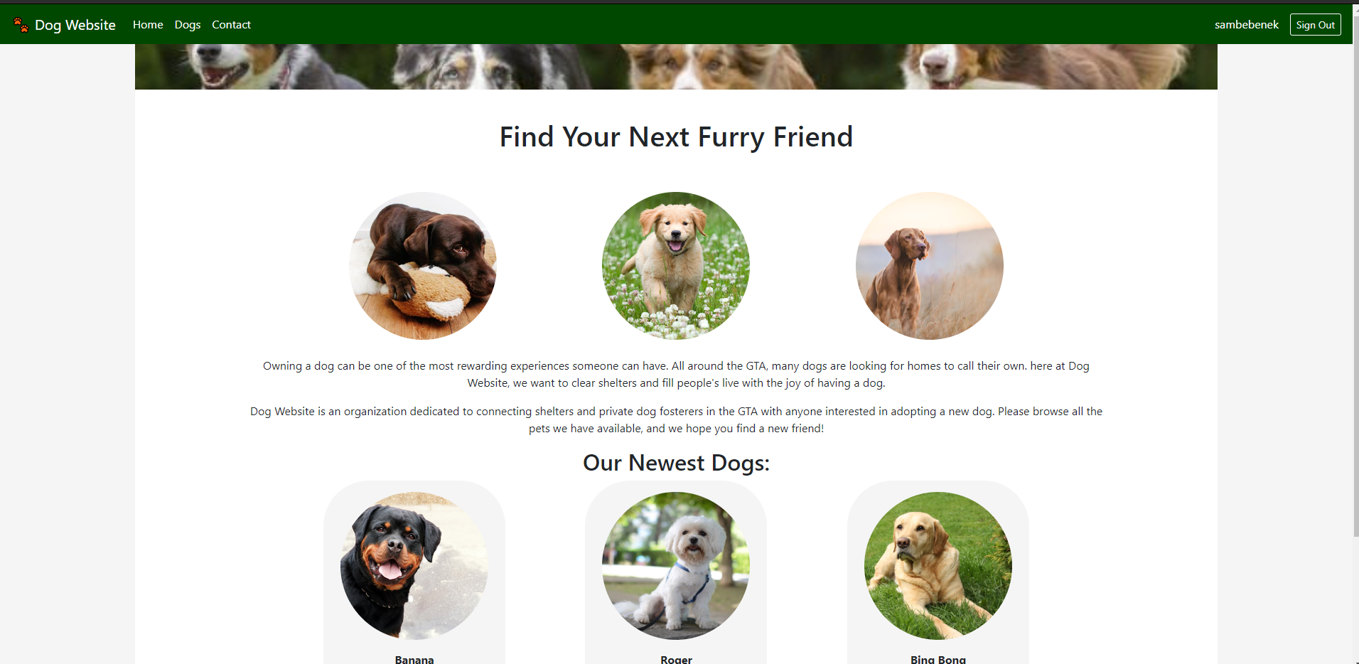 screenshot of dog website