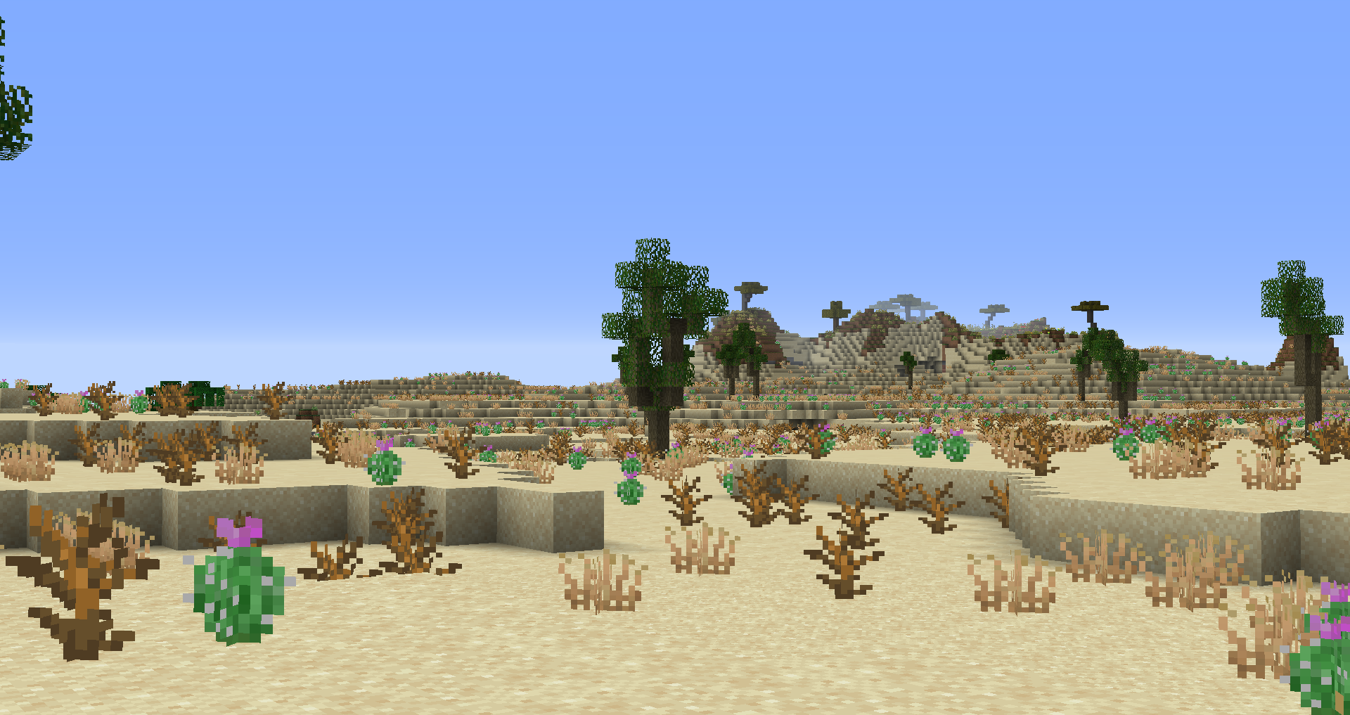 Lush Desert Image