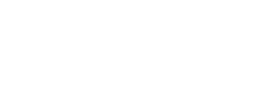 DolphinStudios