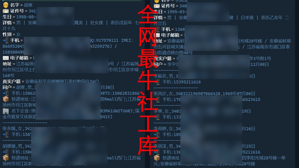 天眼社工库查询工具-社工库开盒-免费社工库下载