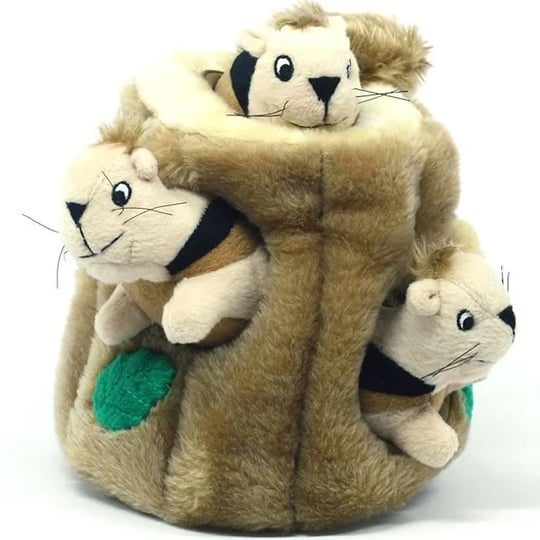 chewy-com-outward-hound-hide-a-squirrel-puzzle-dog-toy-large-1