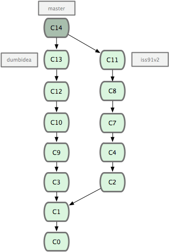 git_branch21