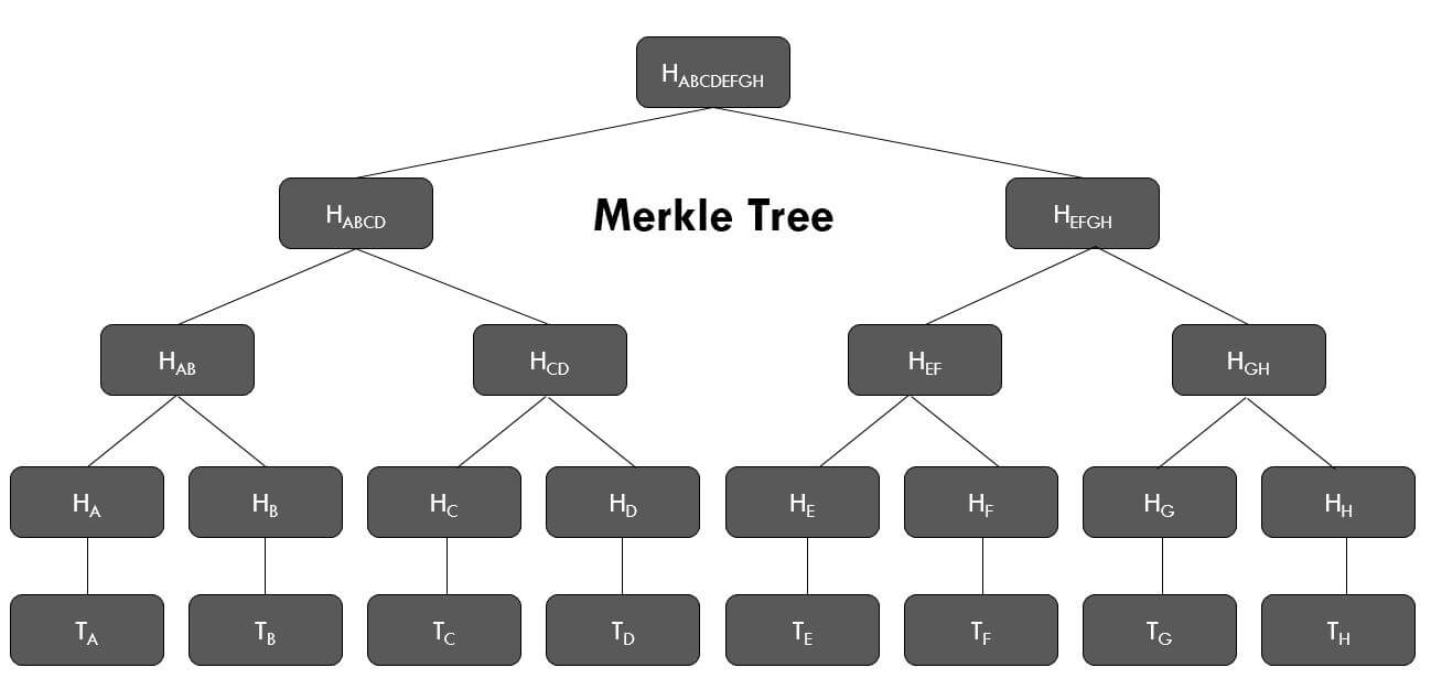 Merkle tree example