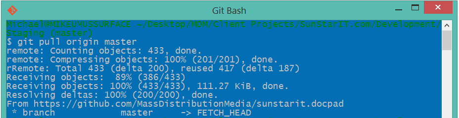 git bash git pull origin master command screen shot