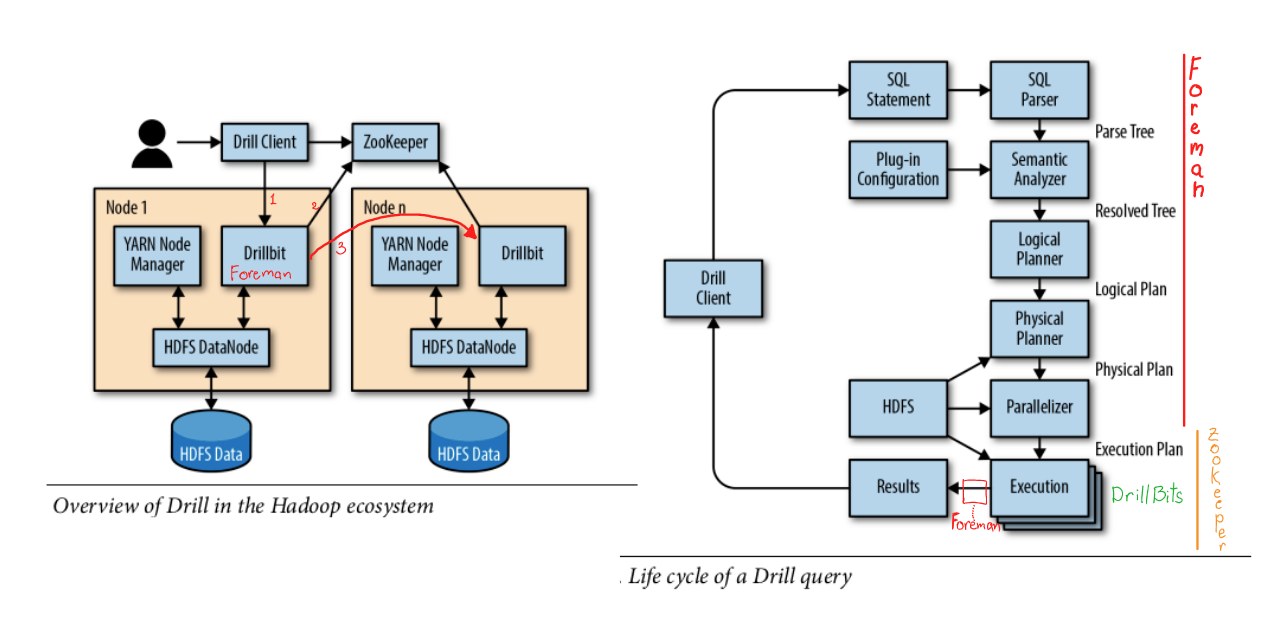 components, phases