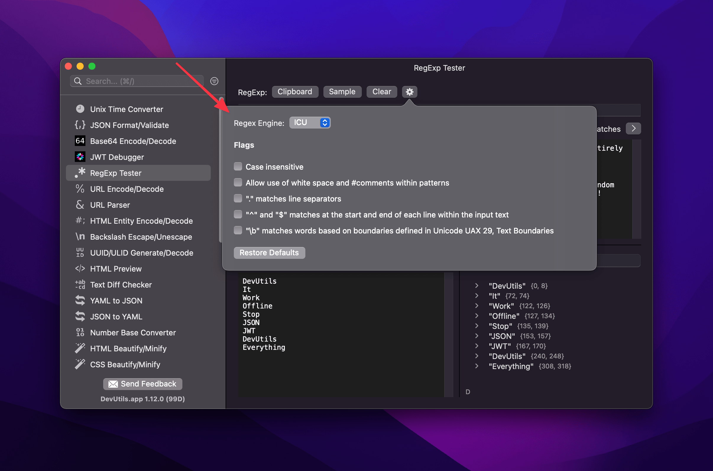 DevUtils.app: RegExp Tester Settings macOS app