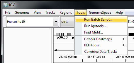 run batch script