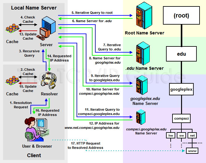 dns lookup