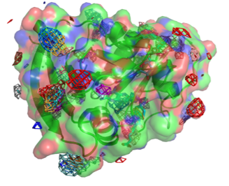 Protein Hotspot Exploration