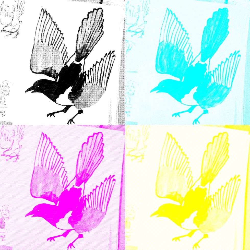 CMYK magpie