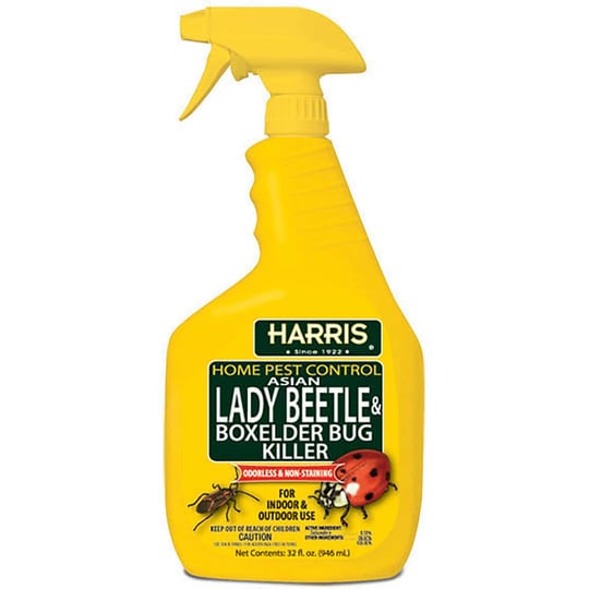 asian-lady-beetle-box-elder-bug-killer-32-oz-harris-hbxa-32-1