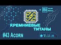 Кремниевые Титаны #43: Acorn