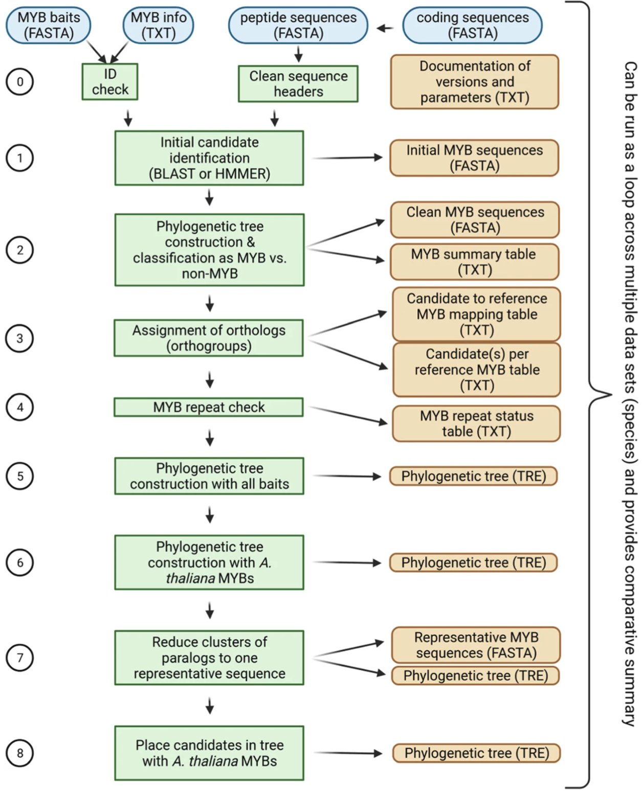 Automatic identification and annotation of MYBs (Tweet #57)