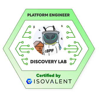 Discovery: Platform Engineer