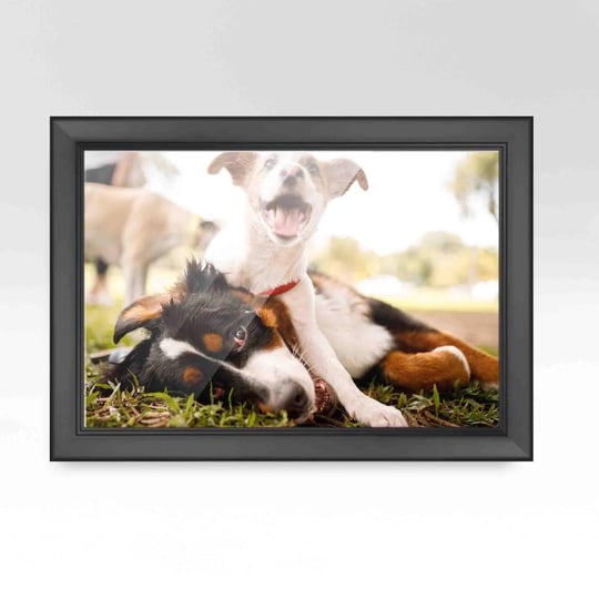 10x14-picture-frame-contemporary-picture-frame-complete-with-uv-black-1