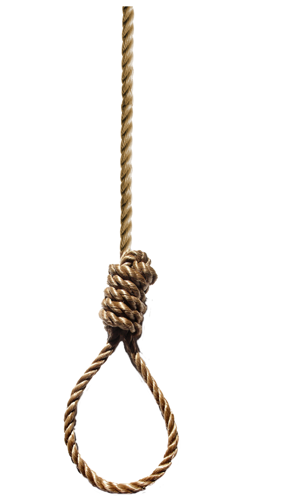 noose