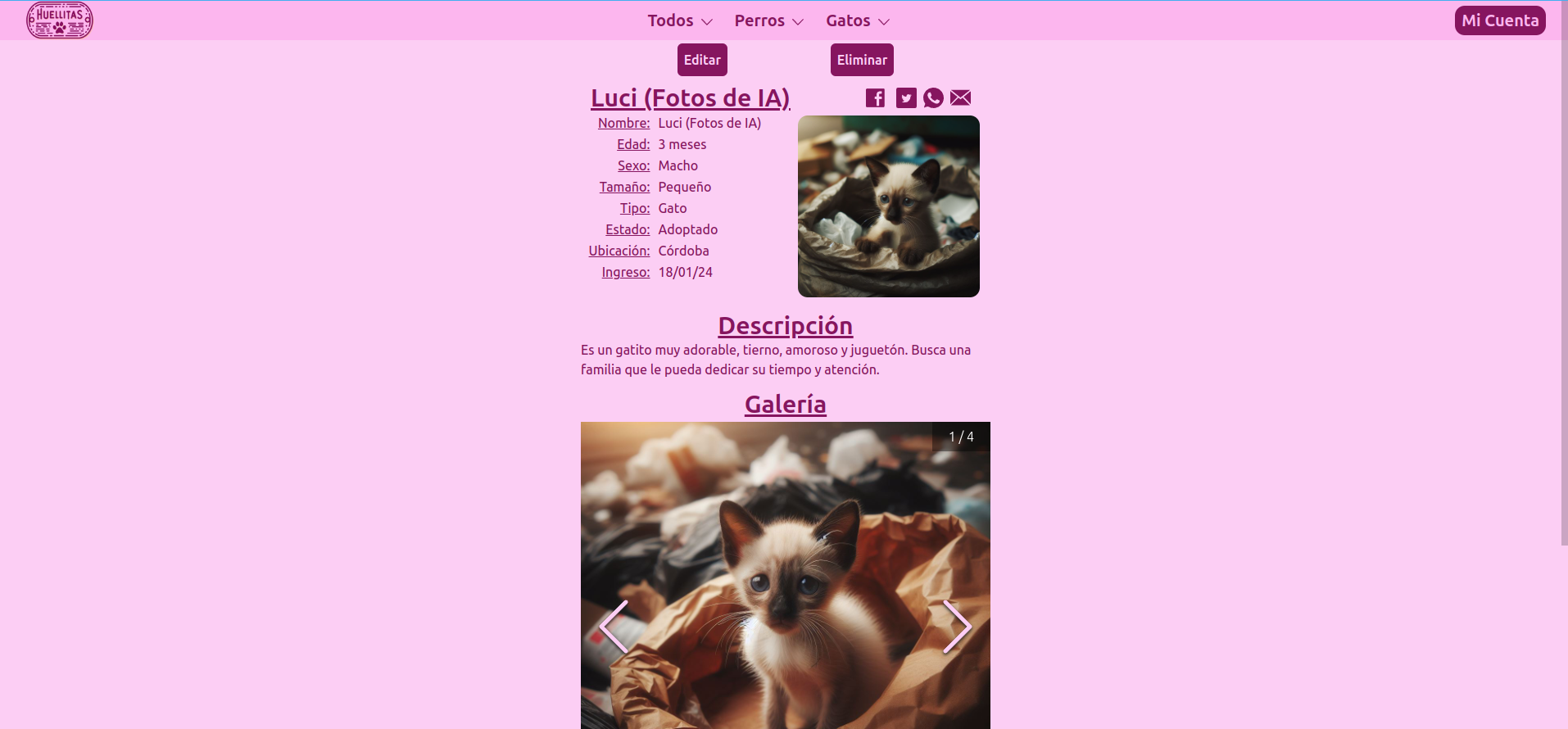 Image of the pet detail page from the desktop one