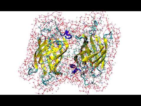 ANI-1x分子动力学模拟