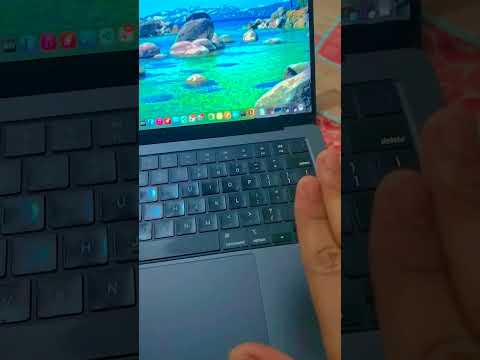 FreeSlapMac Demo