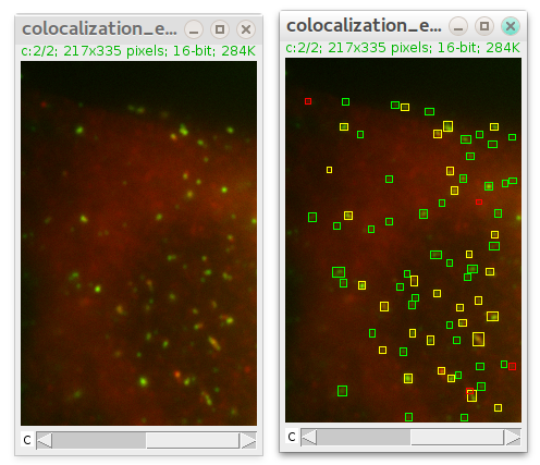 colocalization mark