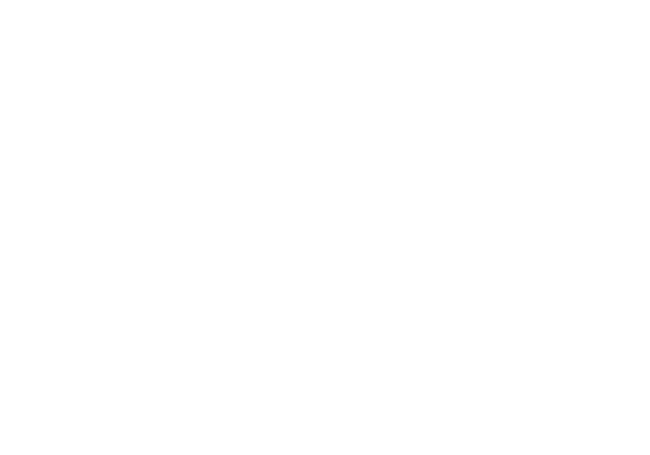 omni.vi