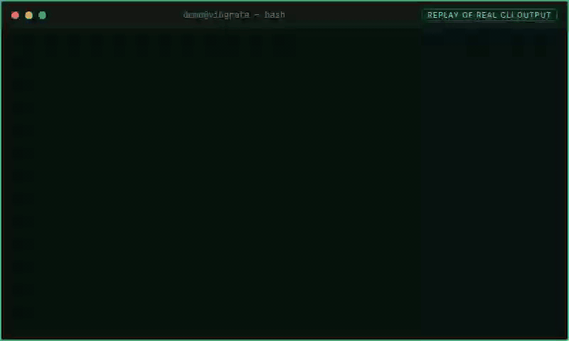 Recorded calcom/scan replay of the real Vibgrate CLI