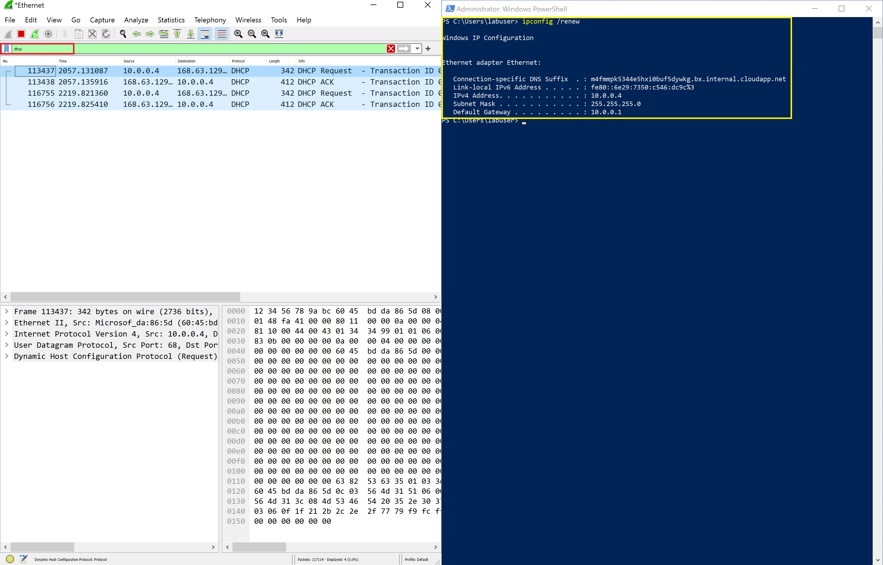 dhcp traffic