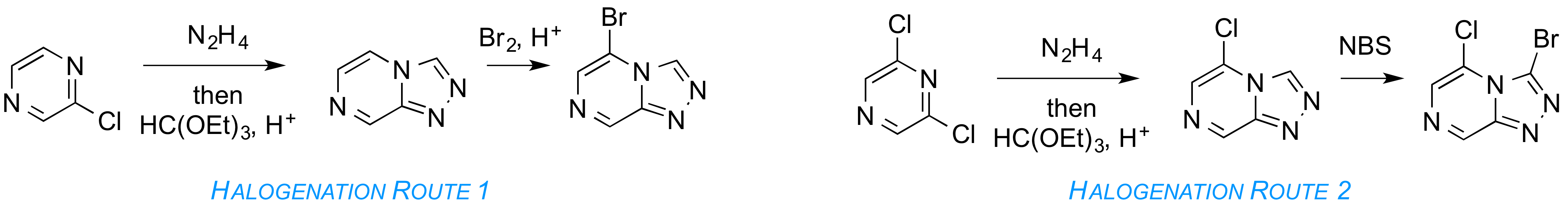 Routes to the Halogenated Core Triazolopyrazine