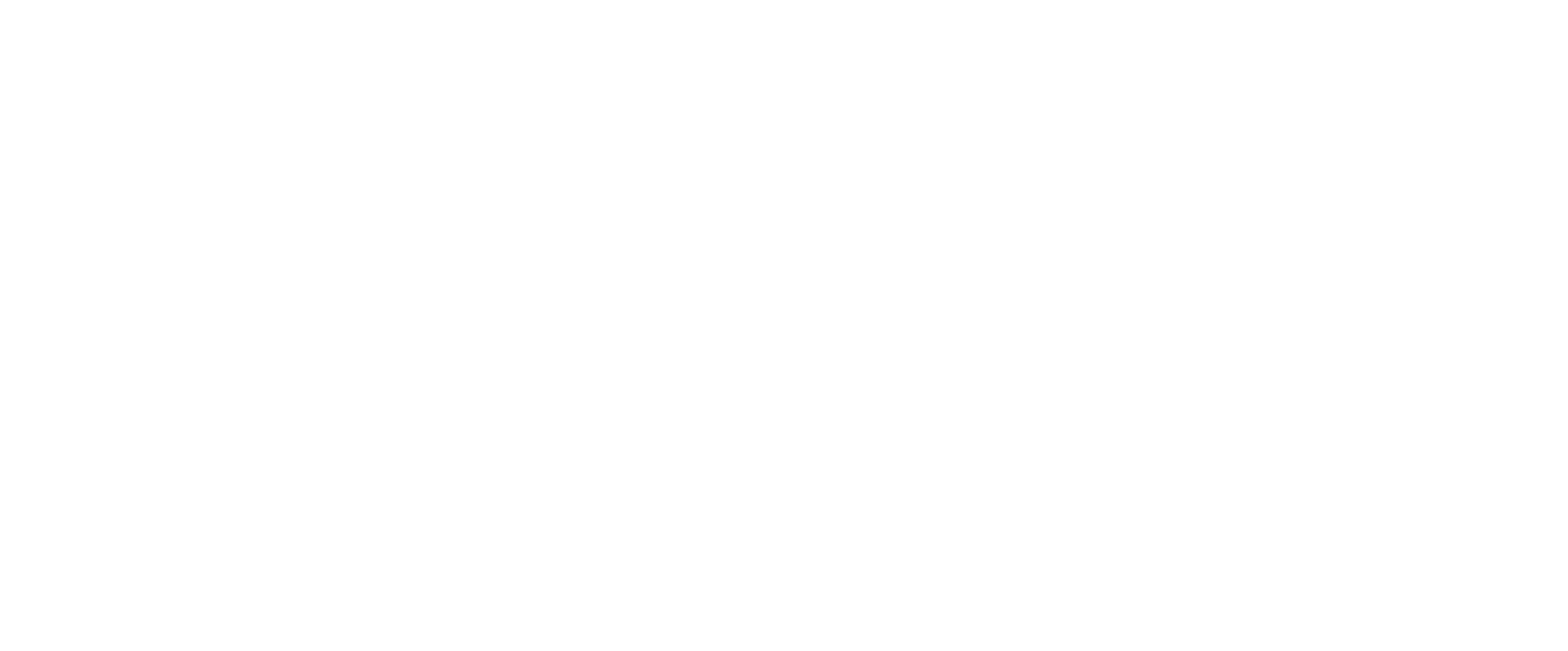 Video Fetch logo