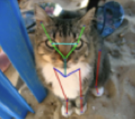 GitHub - jin-s13/COMP7606 · GitHub