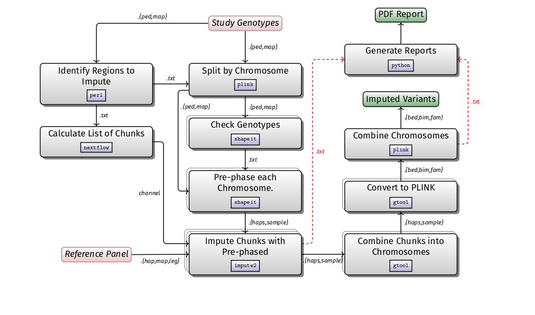 chipimputation pipeline workflow diagram