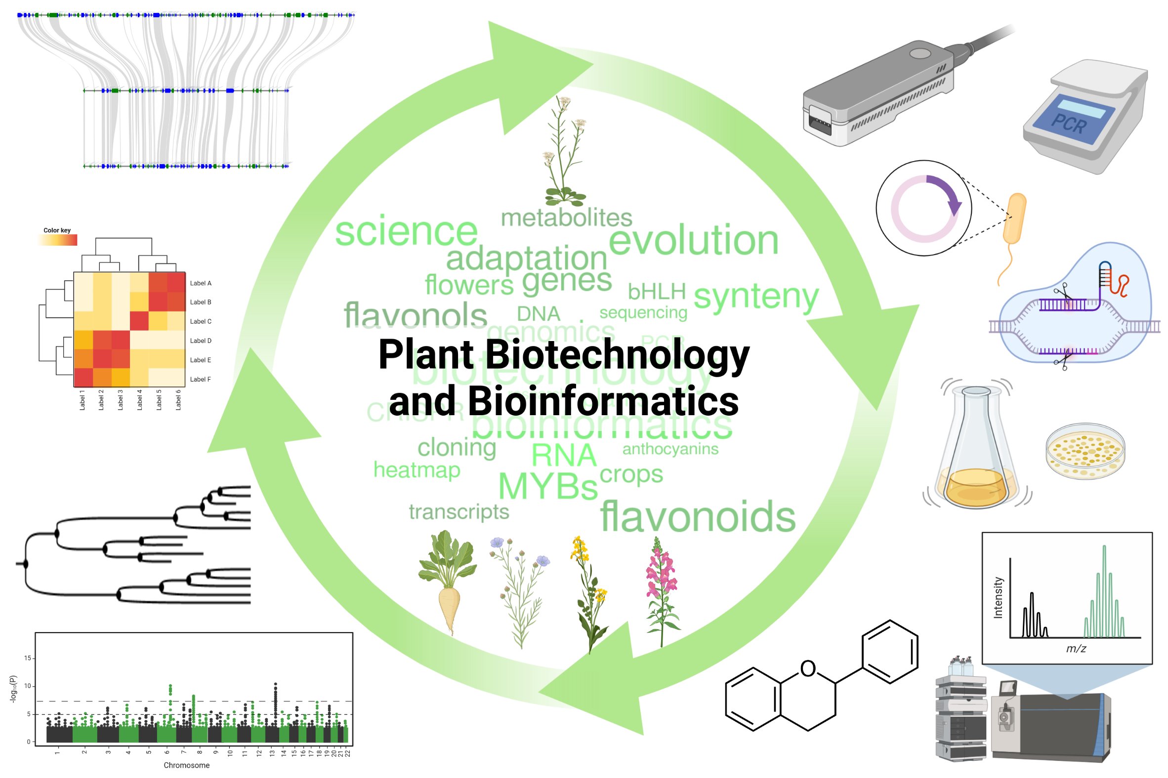 Plant Biotechnology and Bioinformatics (Tweet #31)