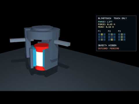 BlindTouch demo