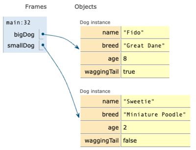 constructor 2 dogs