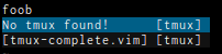 no-tmux-found-completion