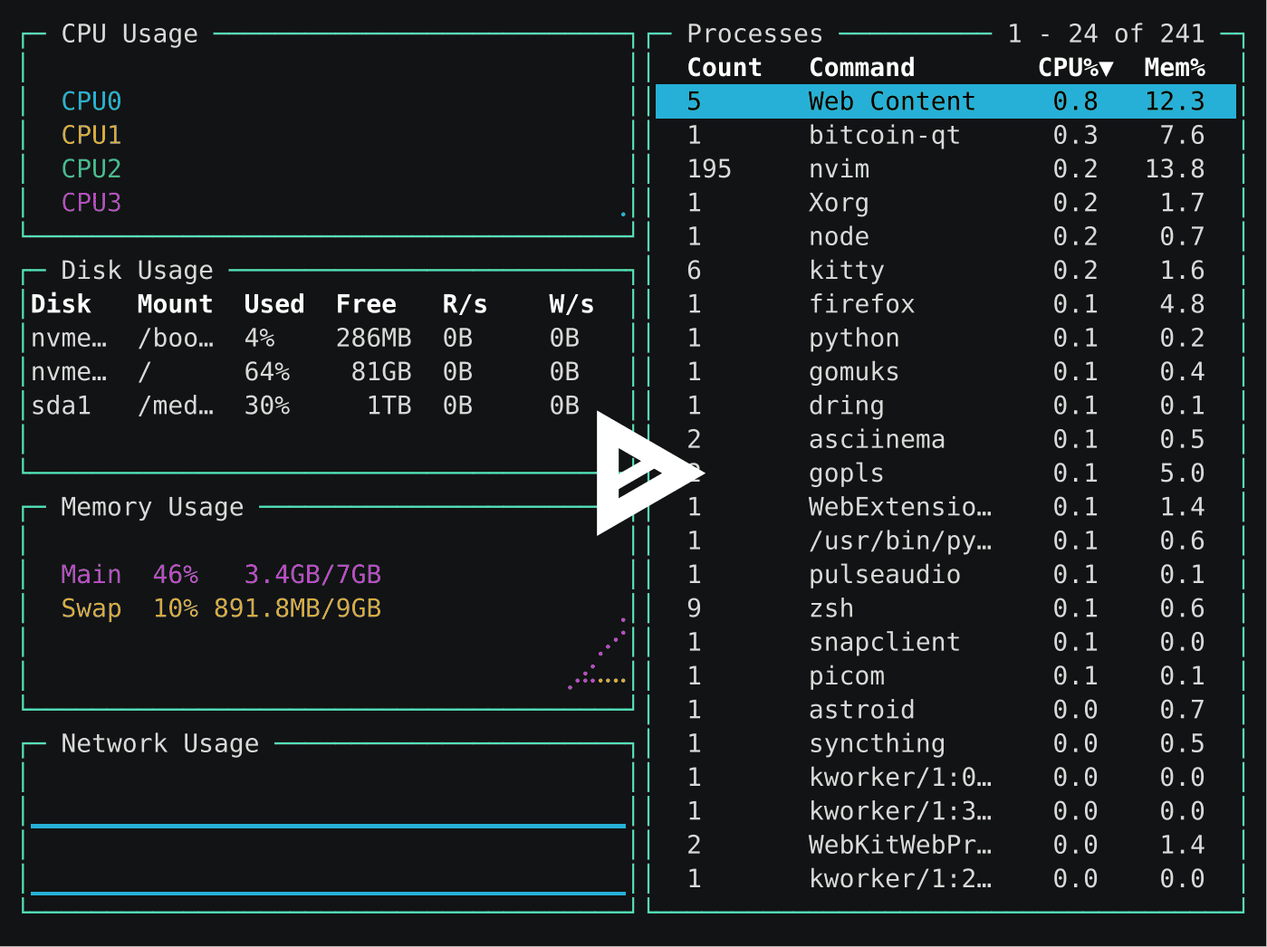 asciicast