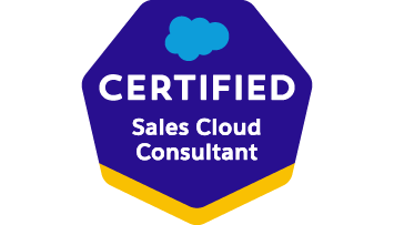 Sales Cloud Consultant