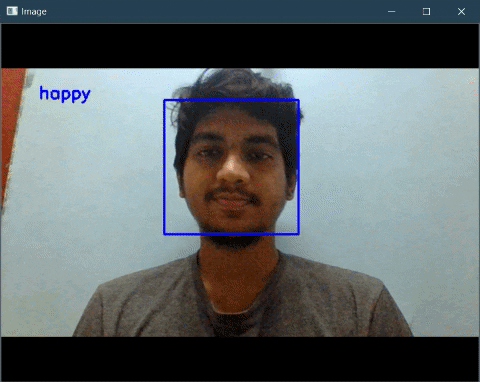 Detection Sample