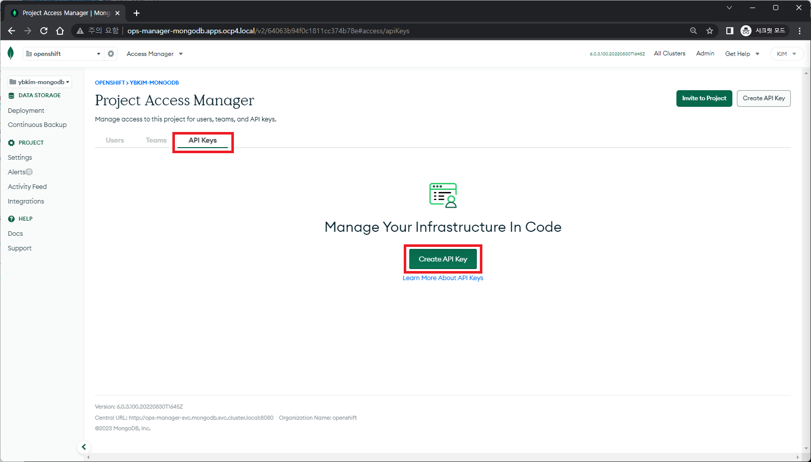 MongoDB - OpsManager: Create Project API Key #2