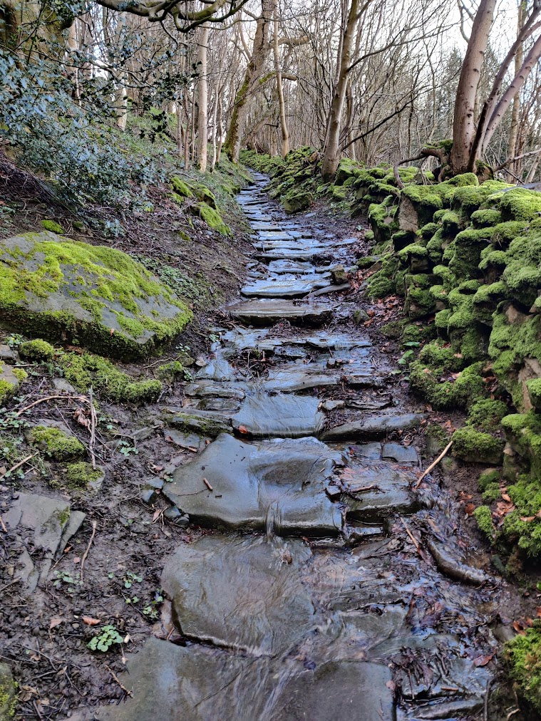 path or stream