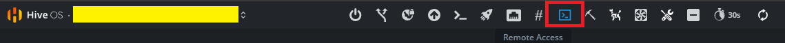 HiveOS Remote Access