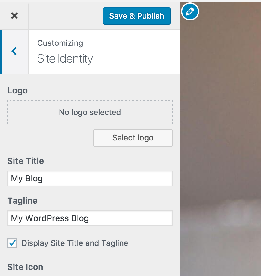 Site Identity on WP - Customizer