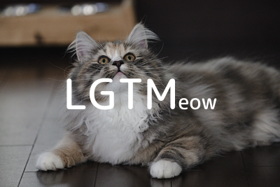 LGTMeow